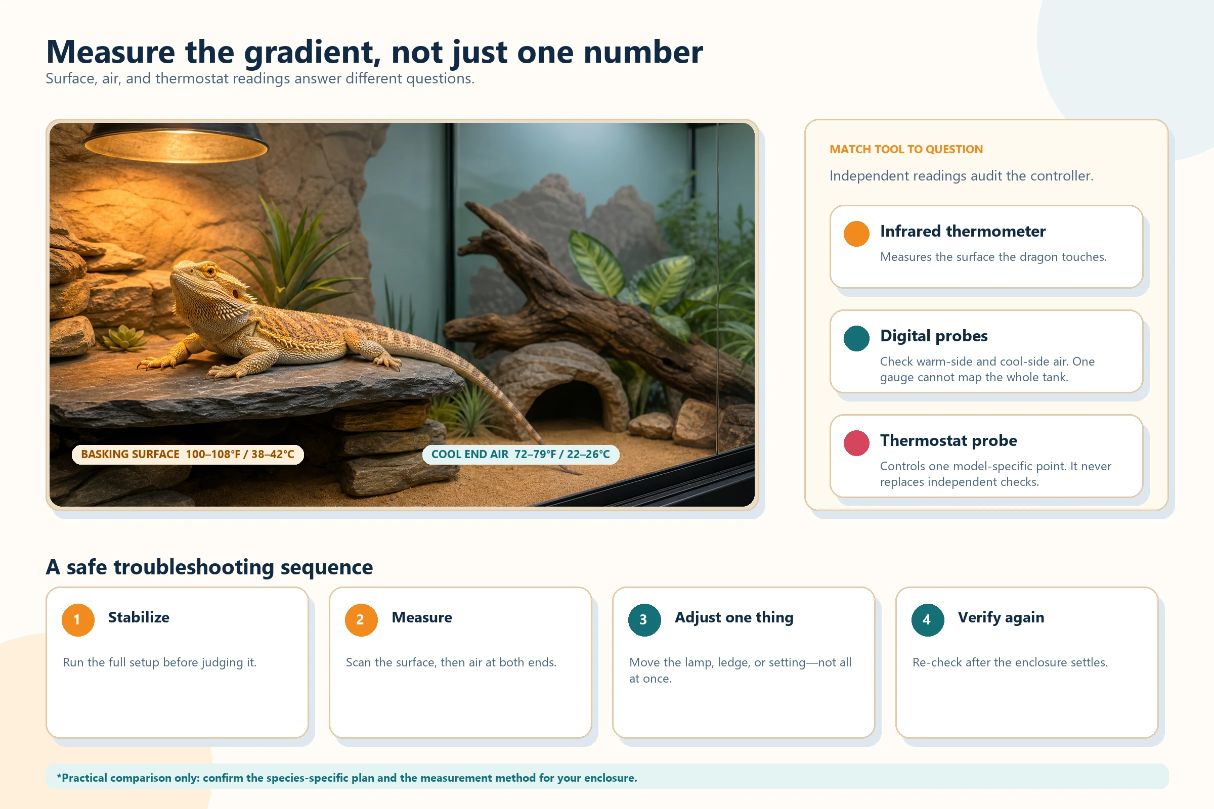 Educational infographic showing a bearded dragon basking in a terrarium, with separate surface, warm-side air, cool-side air, and thermostat probe readings